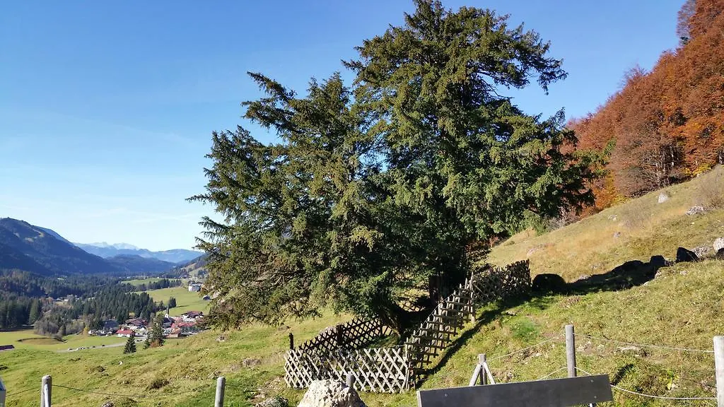 Gaestehaus Bergfrieden Bolsterlang Apartment